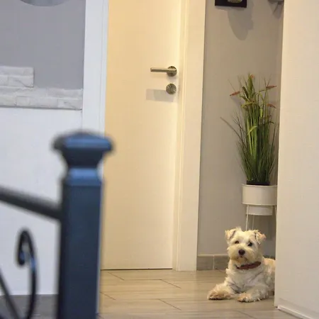 Affittacamere Chloe's Cagliari